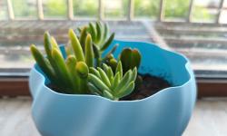 Featured image of post 艺术花瓶