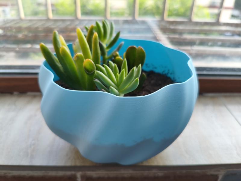 Featured image of post 艺术花瓶